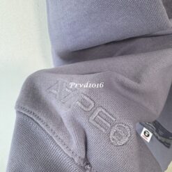 實拍 免運 AAPE A BATHING APE 大學T 長袖 衛衣 猿人 徽章 刺繡 街頭潮流 日系潮牌 工裝風 Cityboy 寬鬆版型 男女同款 穿搭 純棉 上衣：圖片 11
