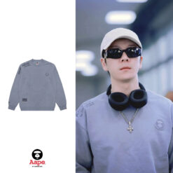 實拍 免運 AAPE A BATHING APE 大學T 長袖 衛衣 猿人 徽章 刺繡 街頭潮流 日系潮牌 工裝風 Cityboy 寬鬆版型 男女同款 穿搭 純棉 上衣