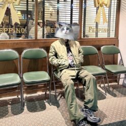 實拍 免運 FOG ESSENTIALS Fear Of God 口袋褲 工作褲 工裝褲 軍綠 抽繩長褲 寬褲 直筒 寬鬆版型 街頭穿搭 軍裝風 Cityboy 秋冬長褲 男生穿搭 褲子